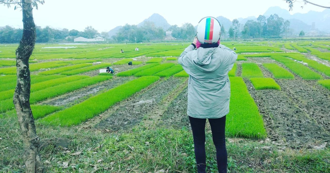Sunny Trang An Homestay نينه بينه المظهر الخارجي الصورة