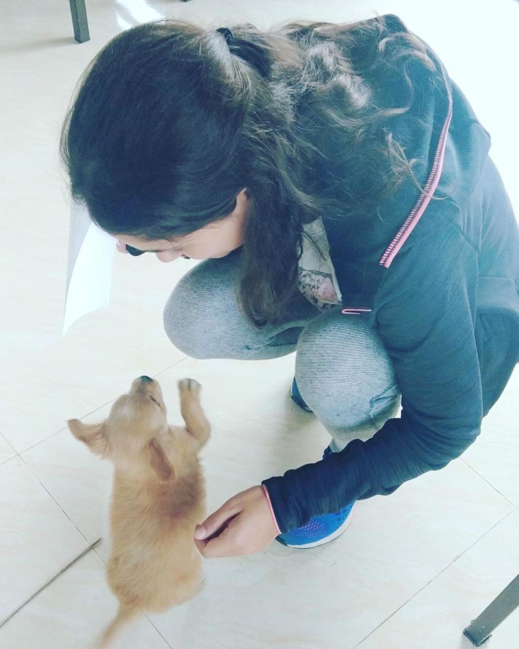 Sunny Trang An Homestay نينه بينه المظهر الخارجي الصورة