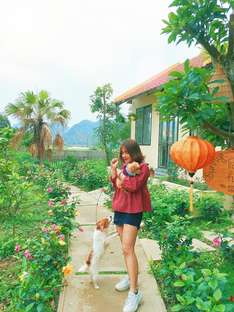 Sunny Trang An Homestay نينه بينه المظهر الخارجي الصورة