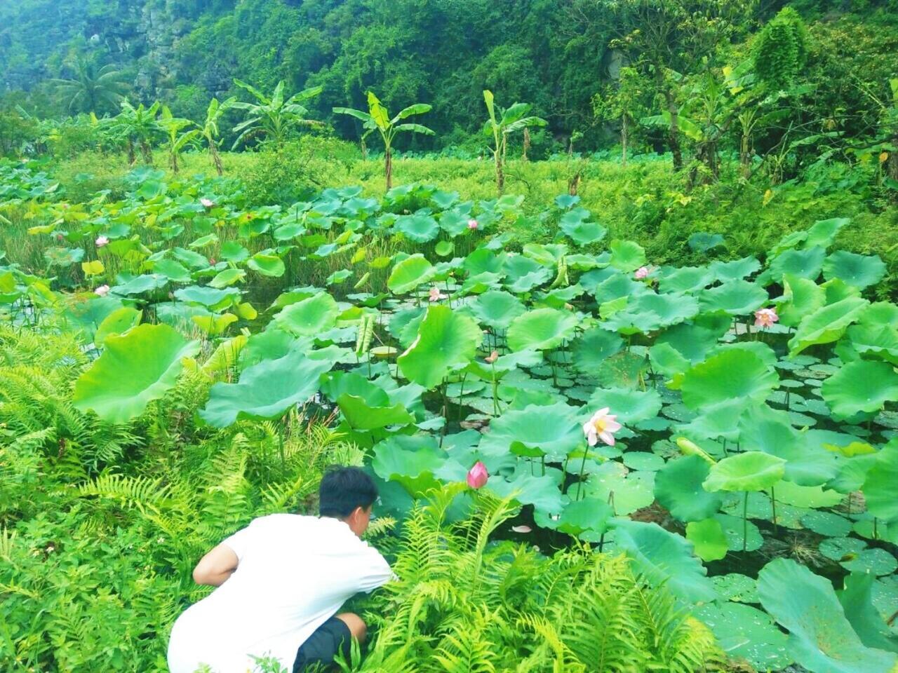 Sunny Trang An Homestay نينه بينه المظهر الخارجي الصورة