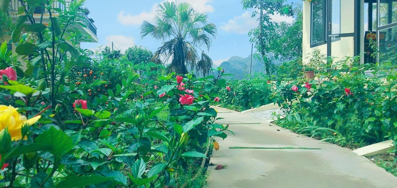 Sunny Trang An Homestay نينه بينه المظهر الخارجي الصورة