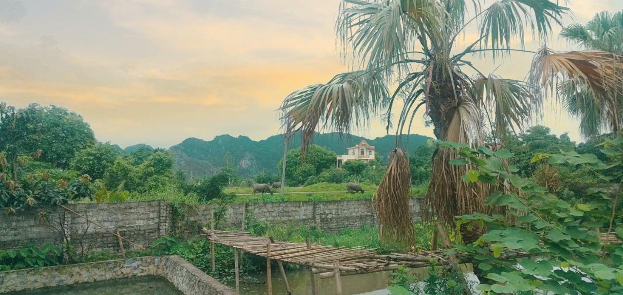 Sunny Trang An Homestay نينه بينه المظهر الخارجي الصورة